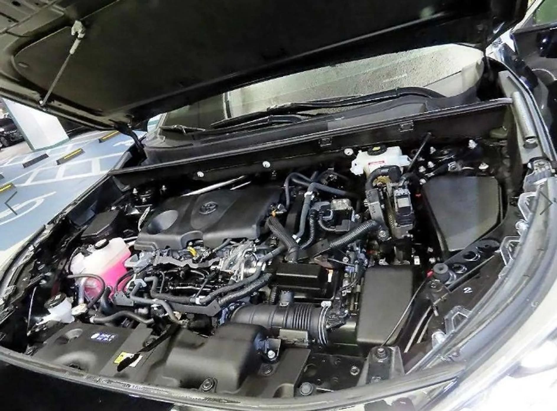 RAV4 5th Generation