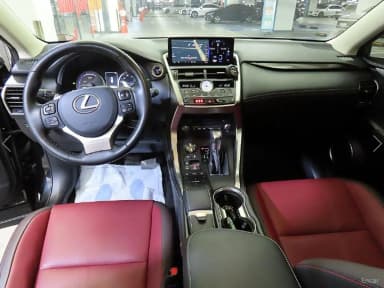 NX300