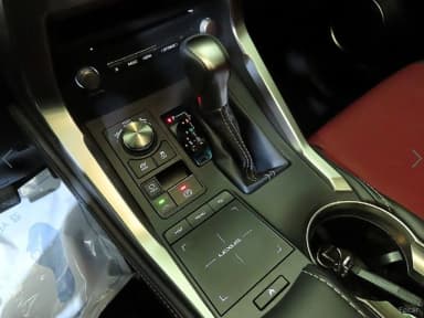 NX300