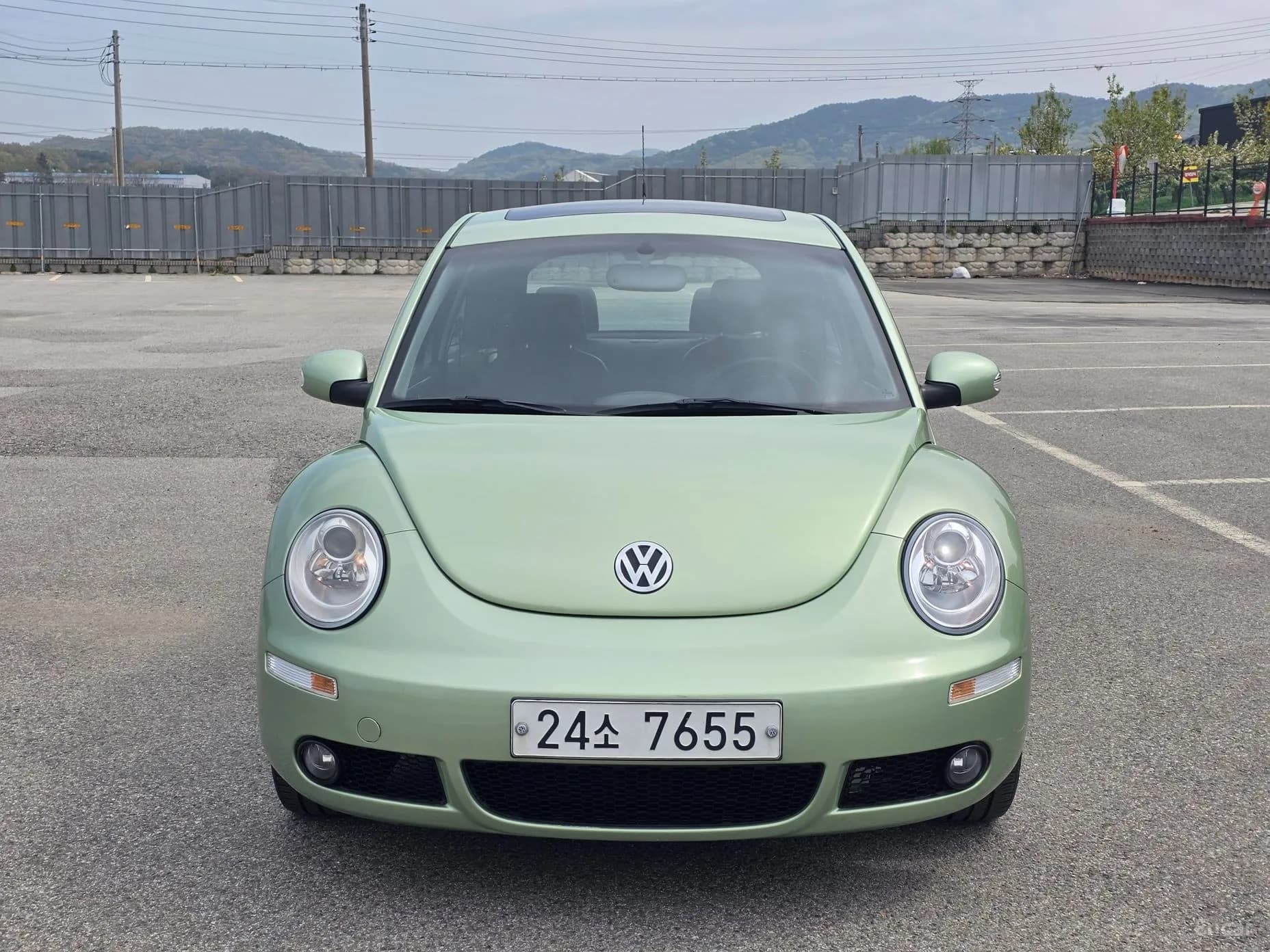 New Beetle