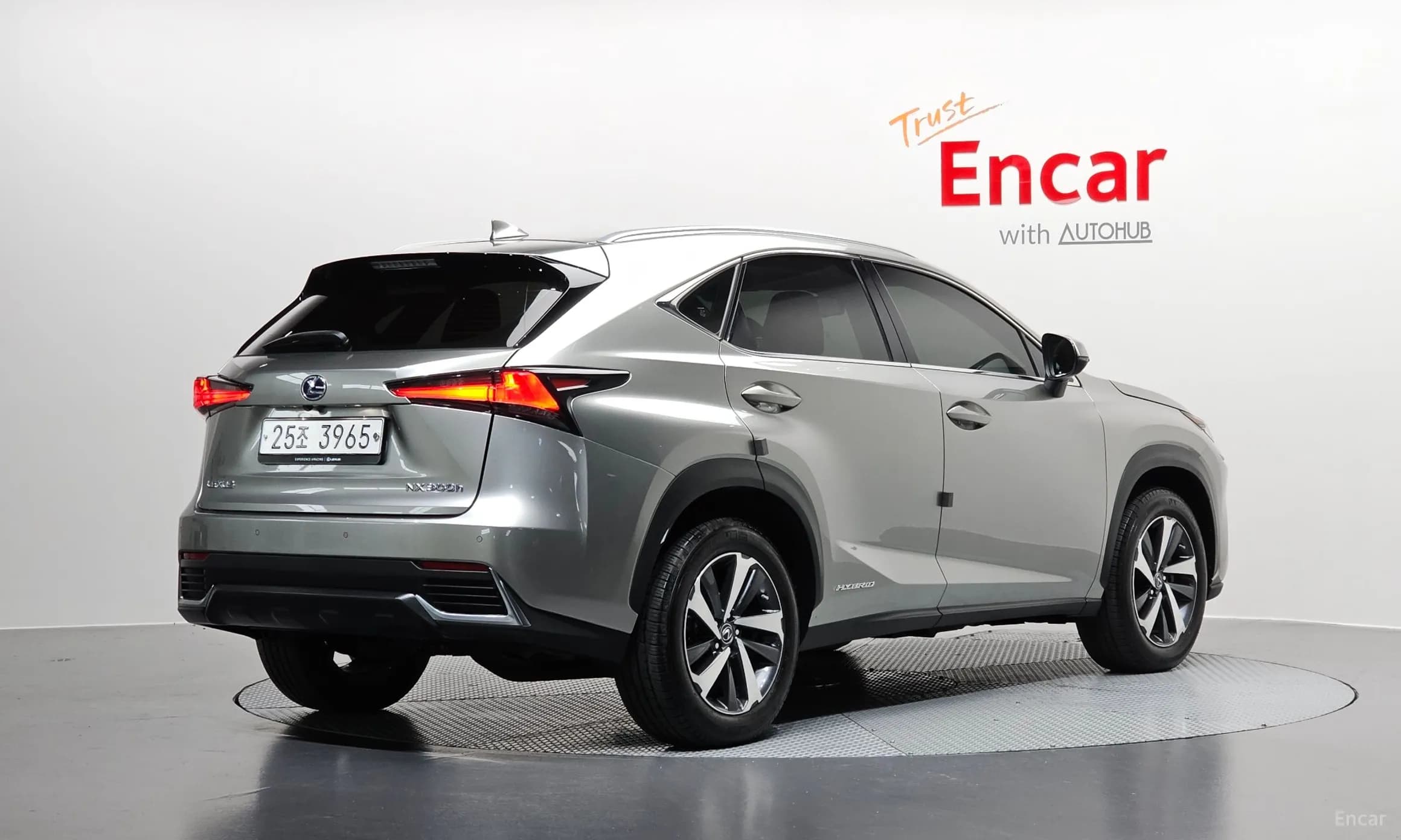 NX300h
