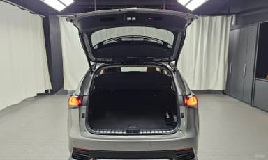 NX300h