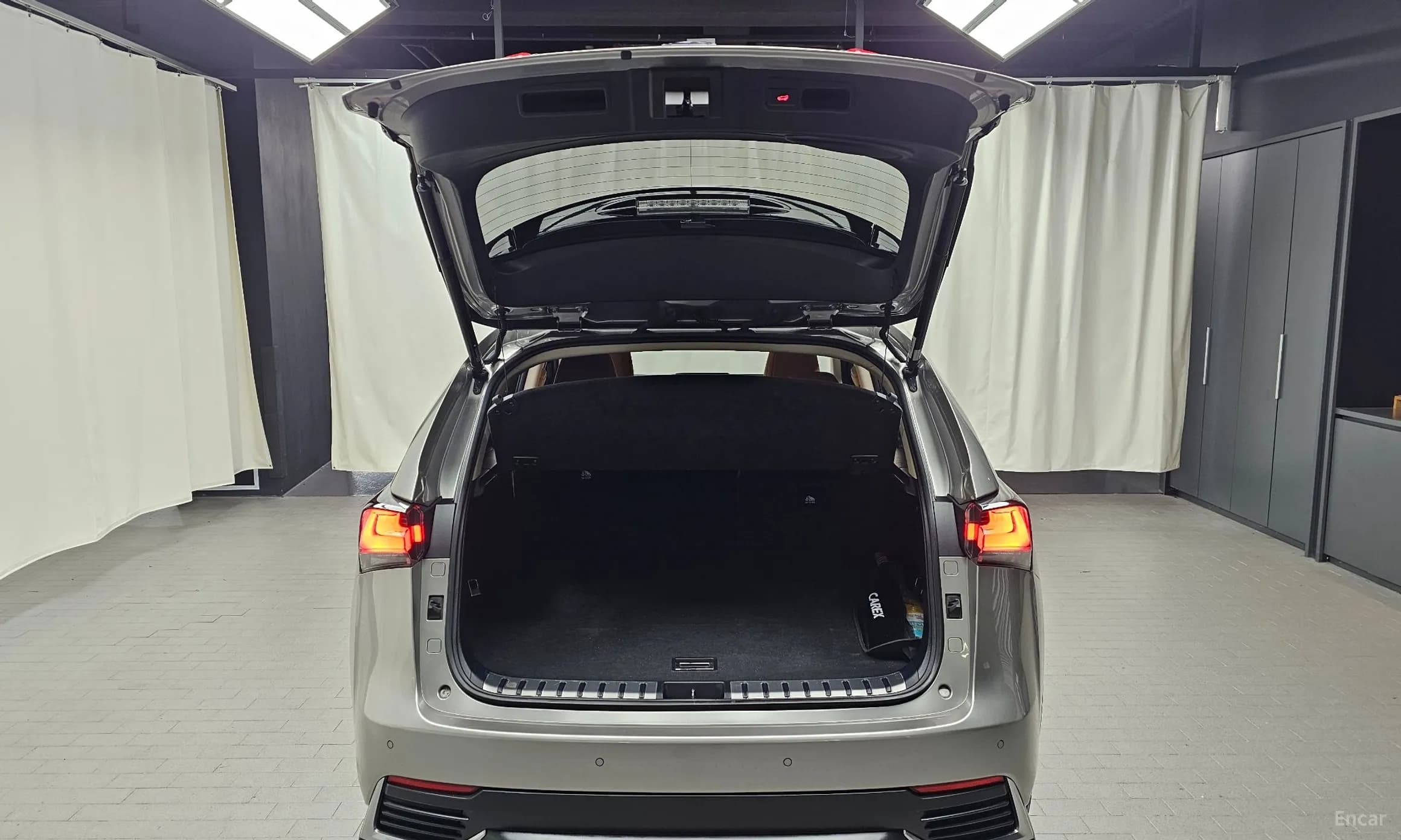 NX300h