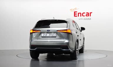 NX300h