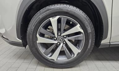 NX300h