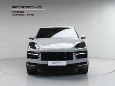 Cayenne (PO536)