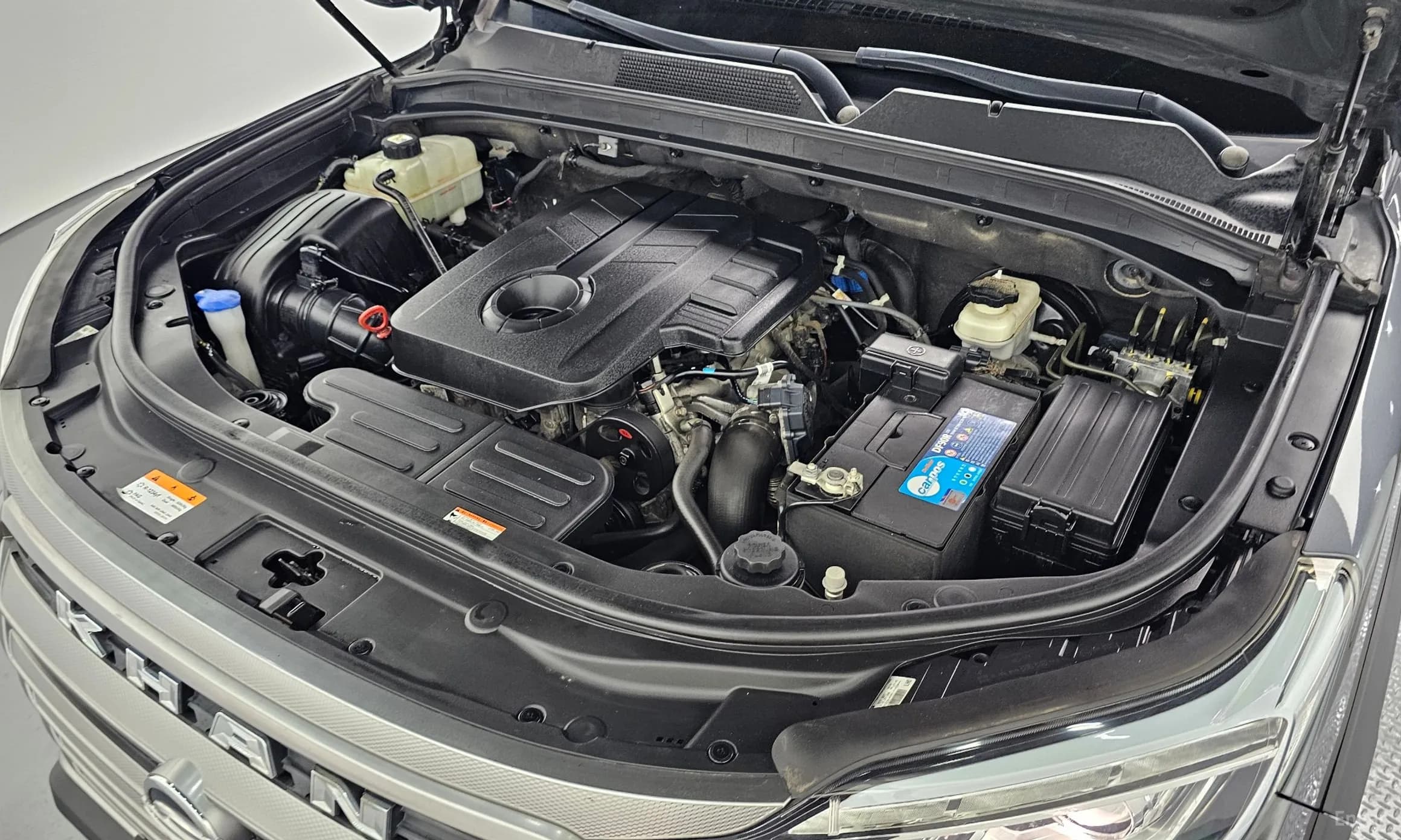 Rexton Sports Khan