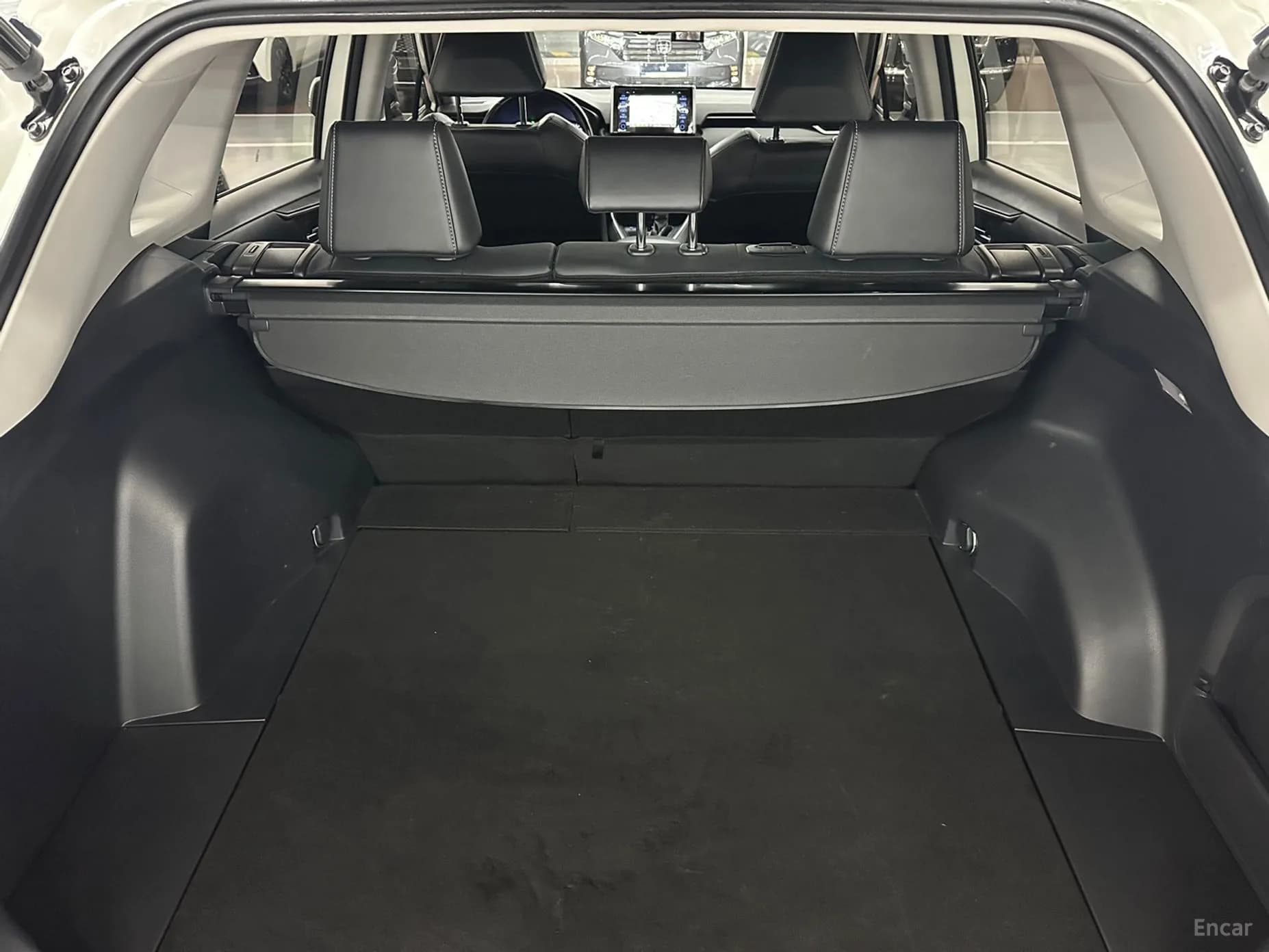 RAV4 5th Generation