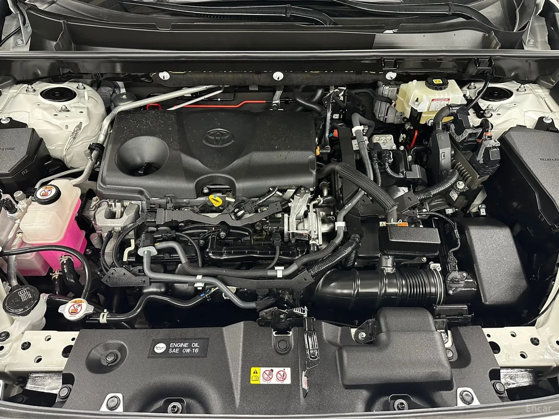 RAV4 5th Generation