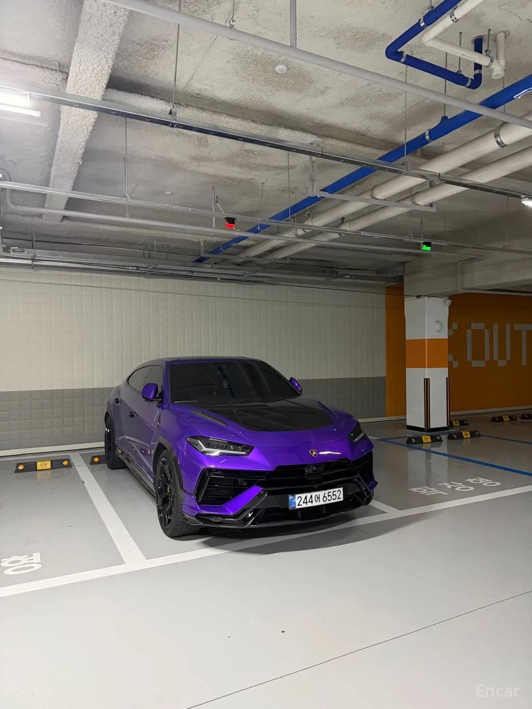 Urus