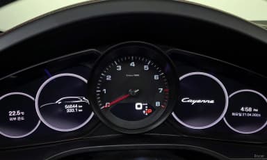 Cayenne (PO536)
