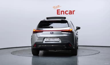 UX250h