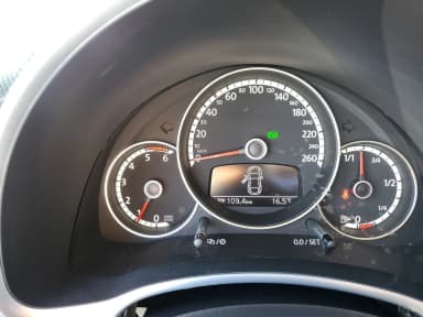 The Beetle