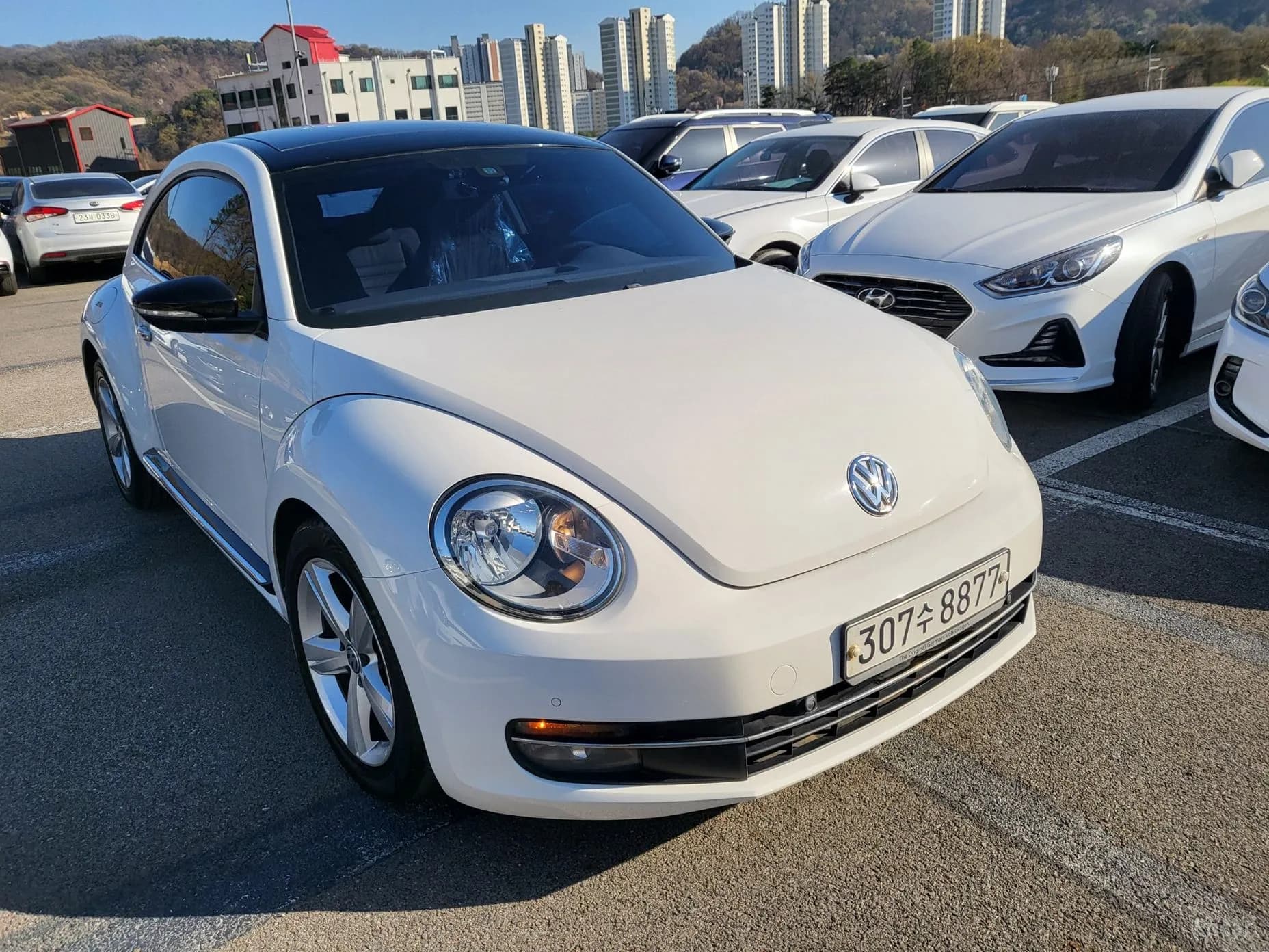 The Beetle