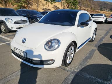 The Beetle