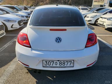 The Beetle
