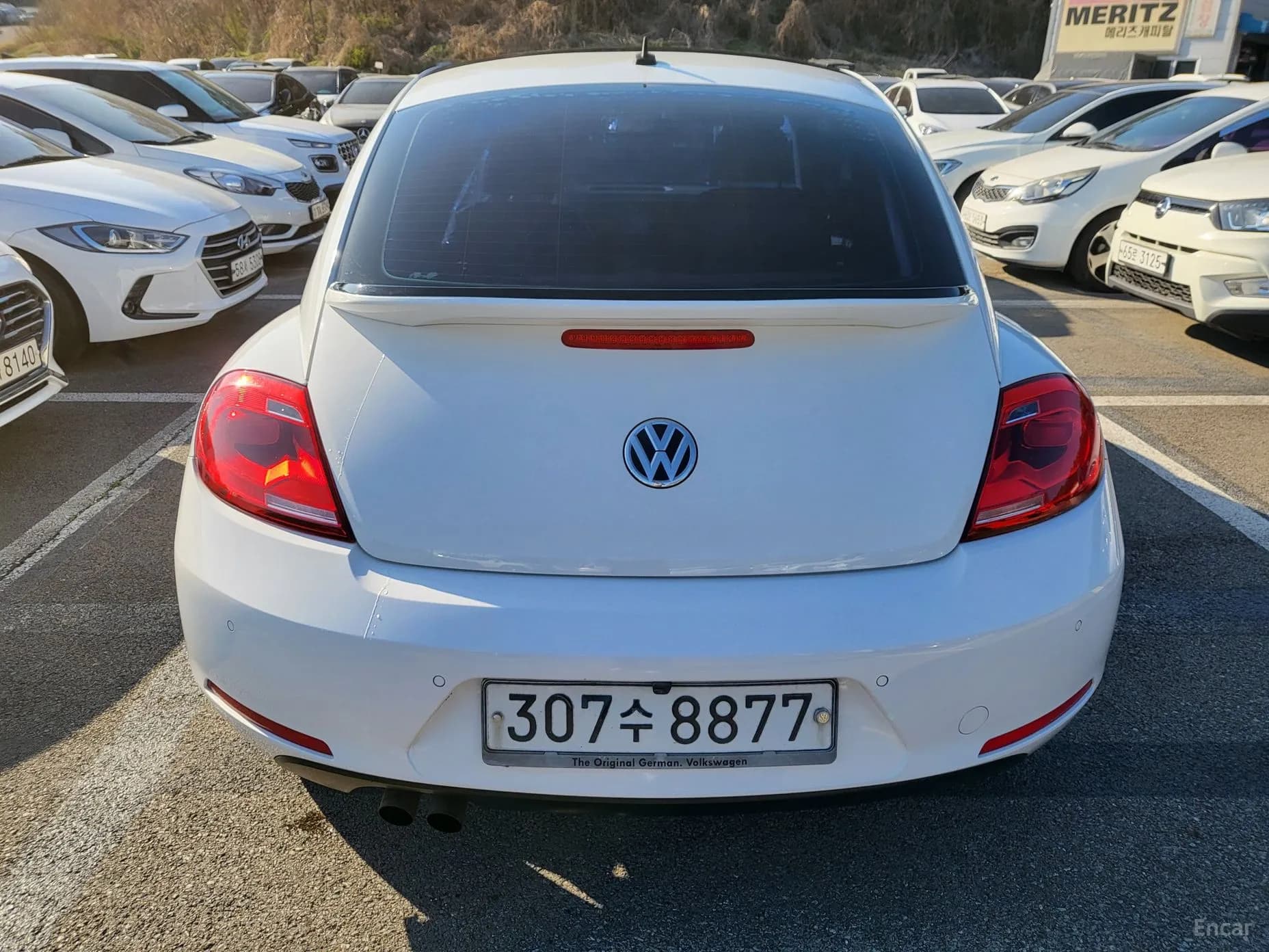 The Beetle