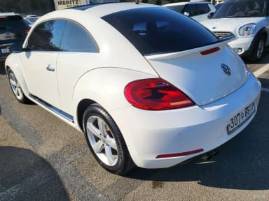 The Beetle