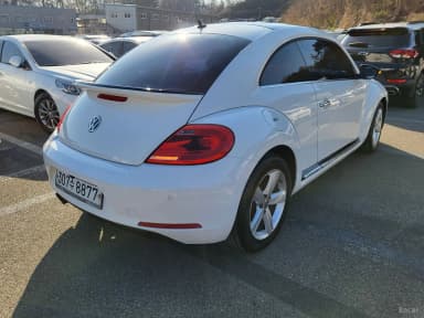 The Beetle
