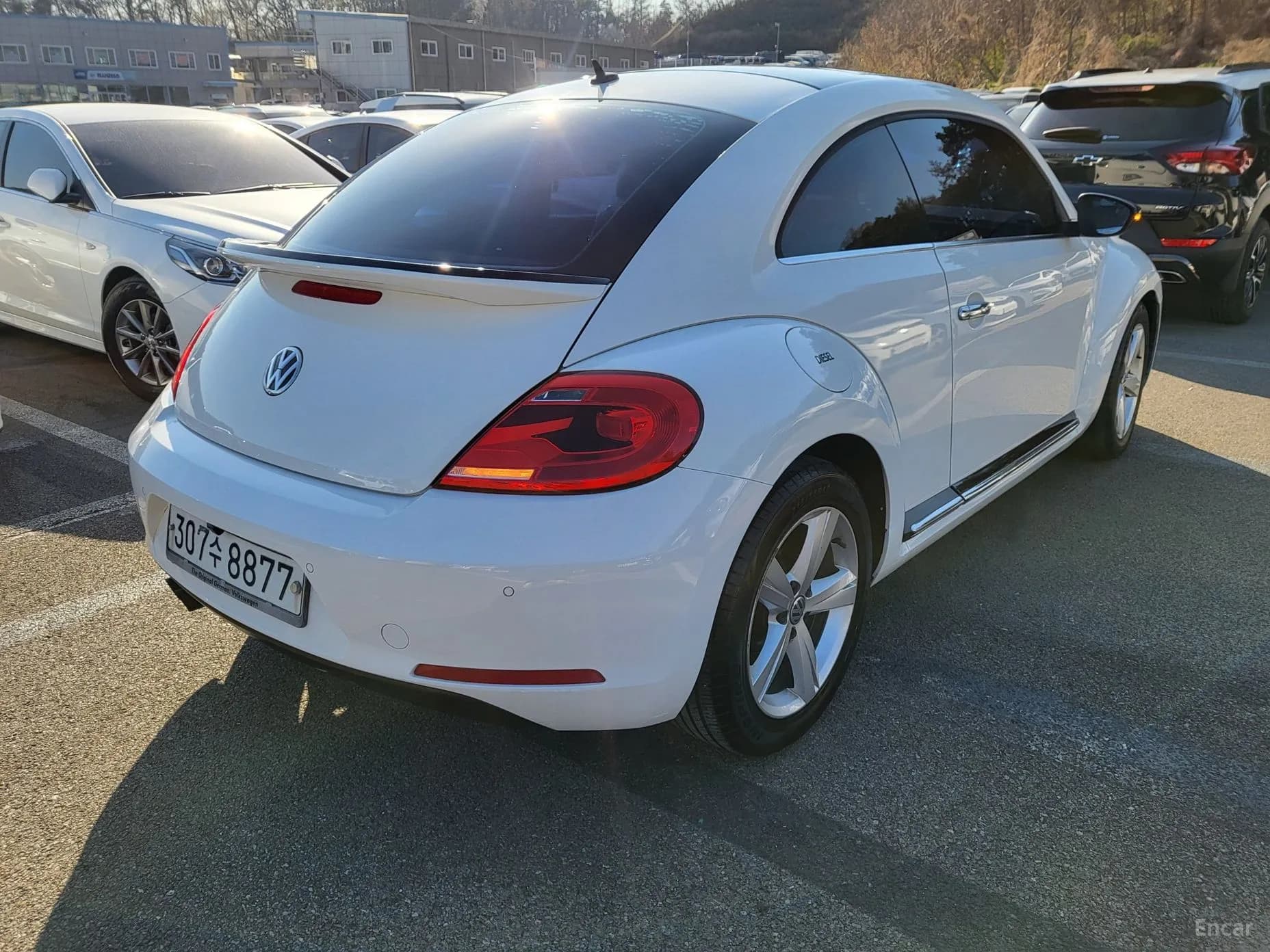 The Beetle