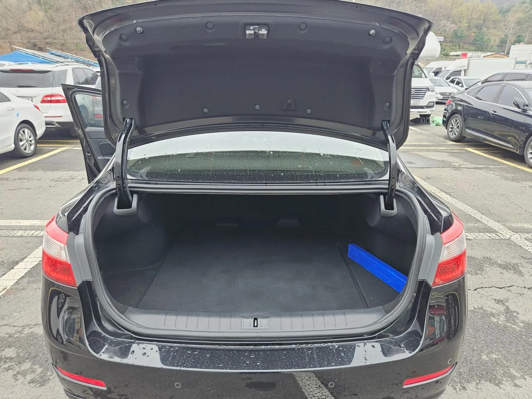 SM5