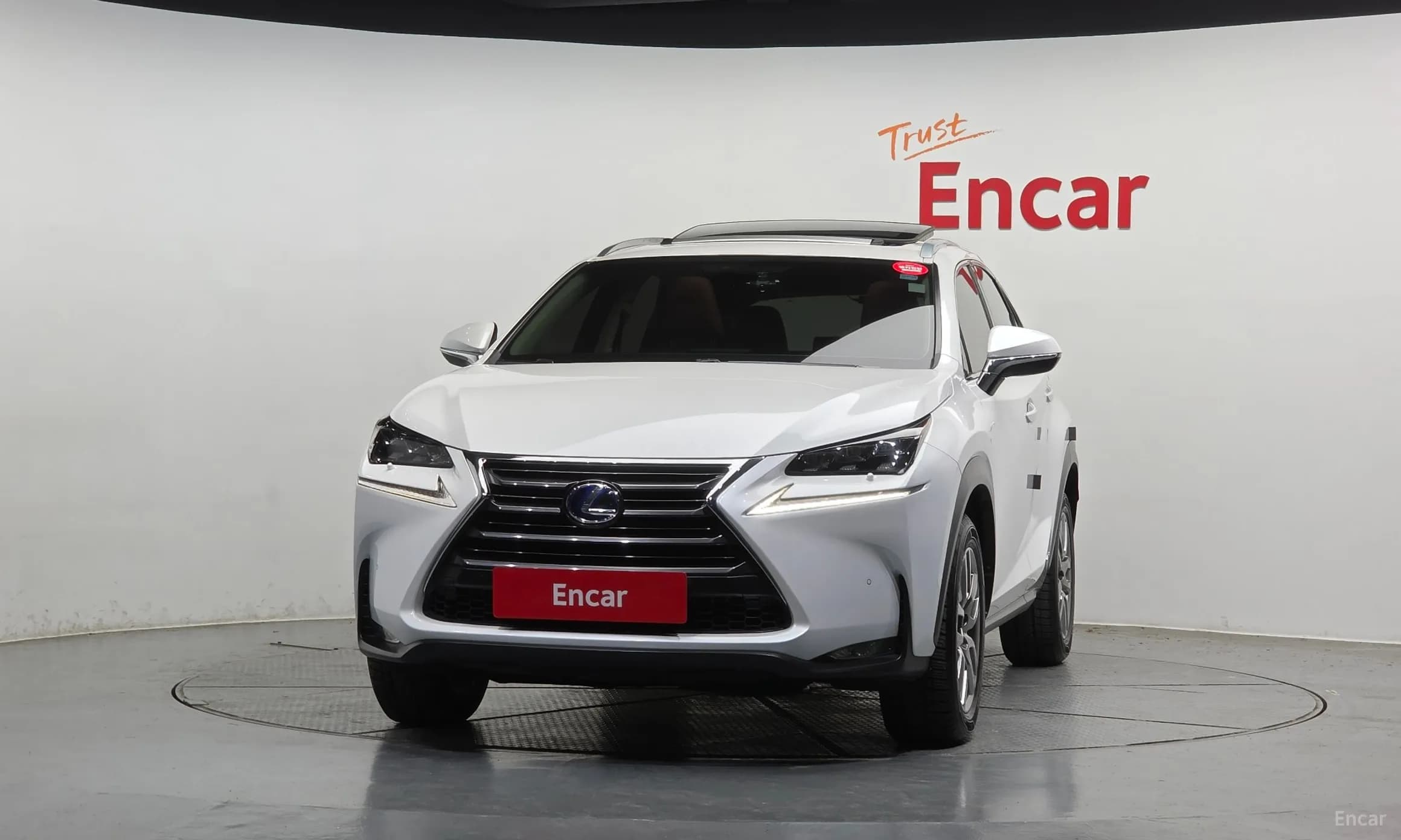 NX300h