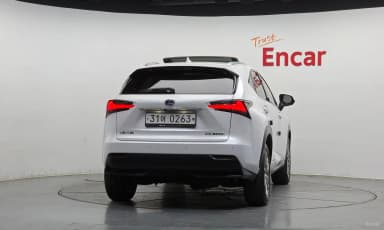 NX300h