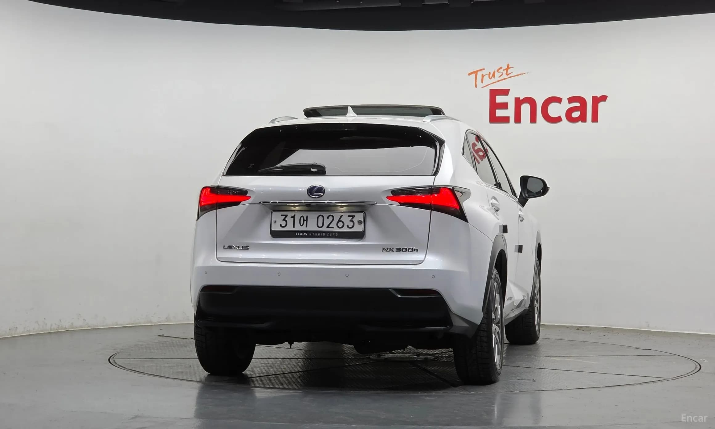 NX300h