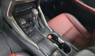 NX300h