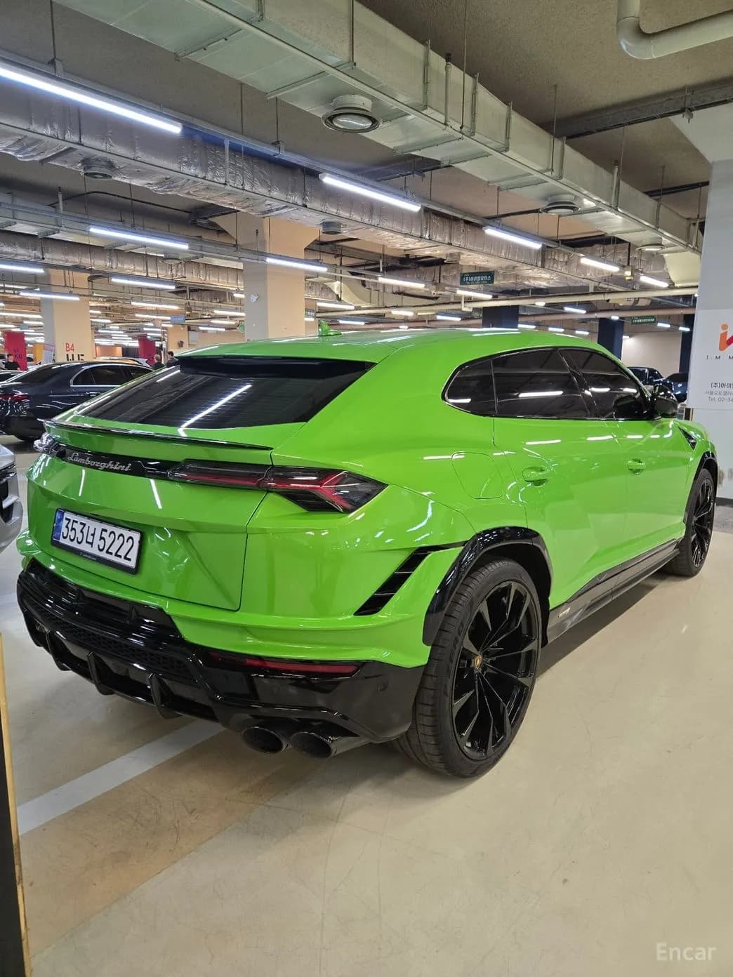 Urus