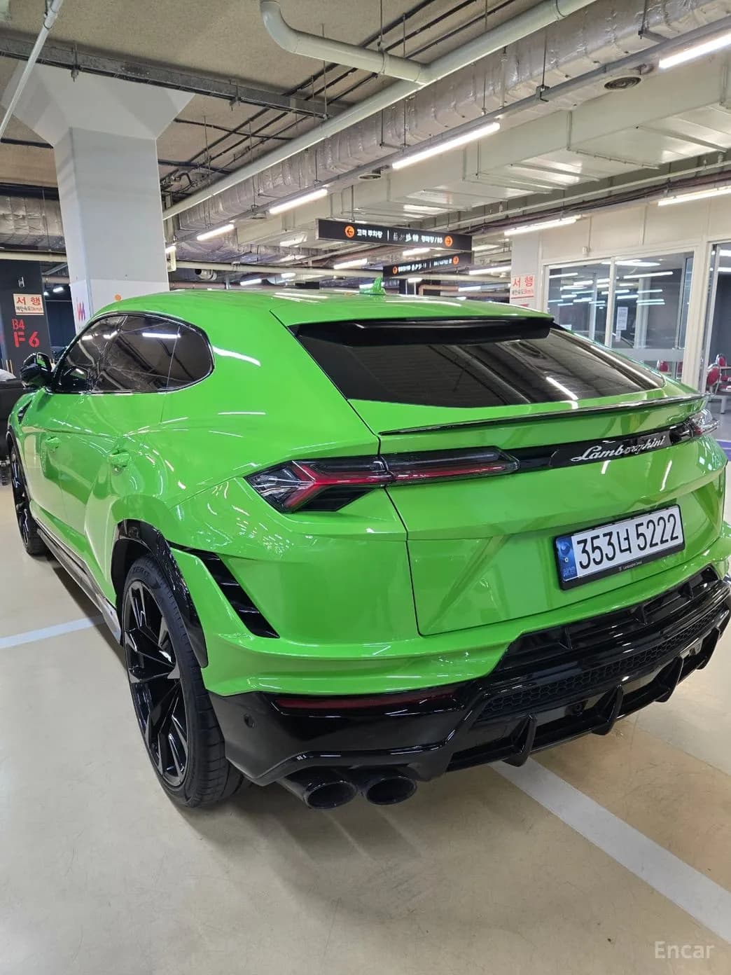 Urus