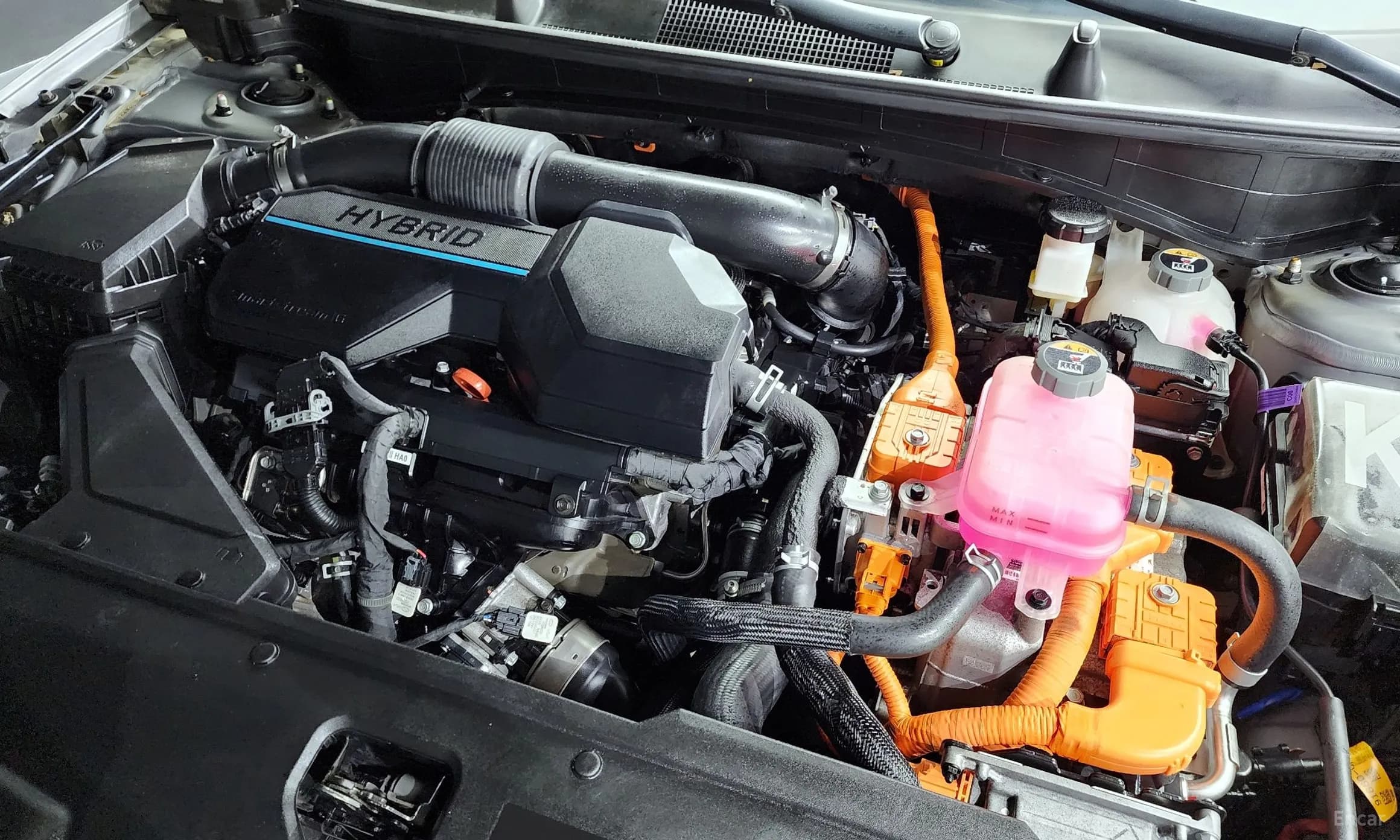 Sportage 5th Generation Hybrid