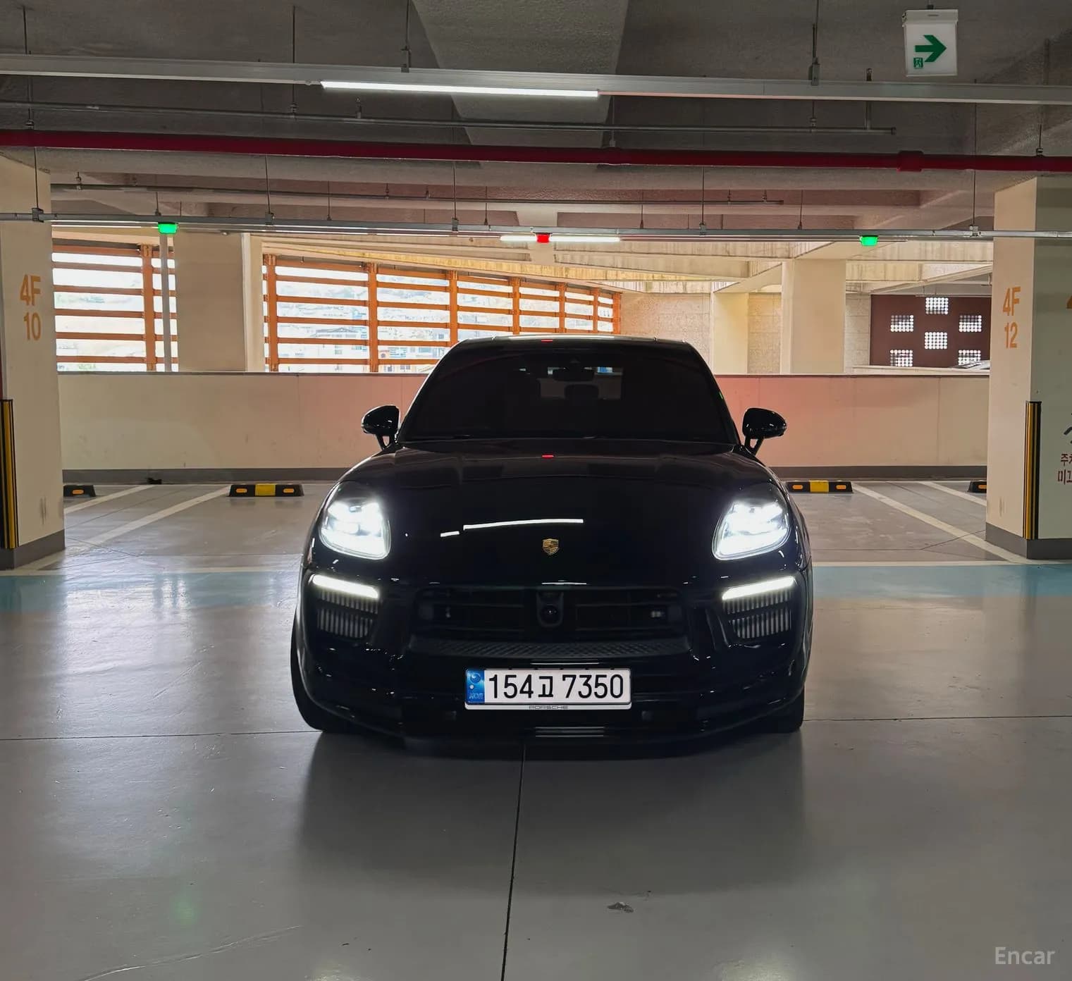 Macan