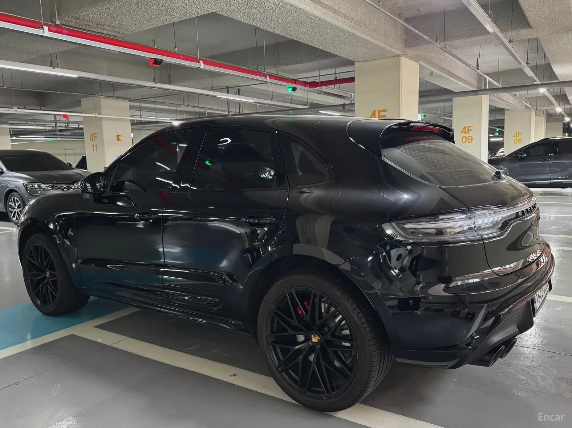 Macan