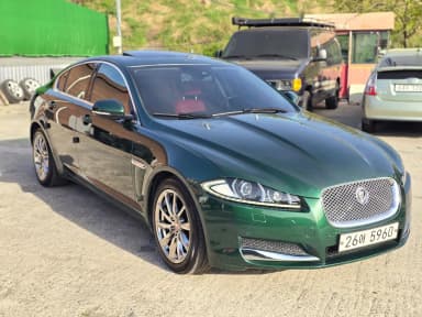 New XF