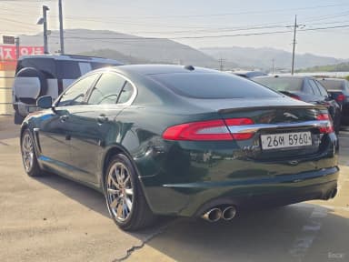 New XF