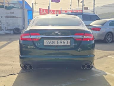 New XF