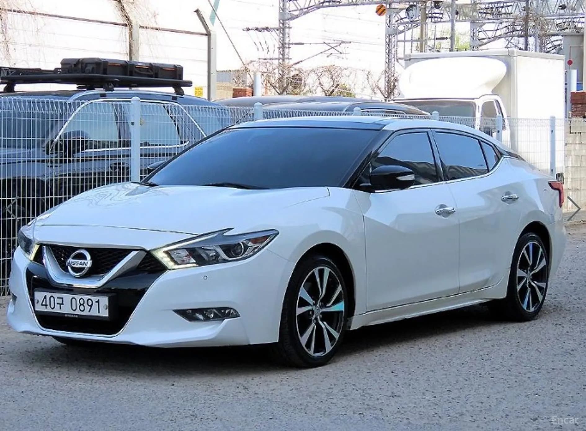 Maxima (A36)