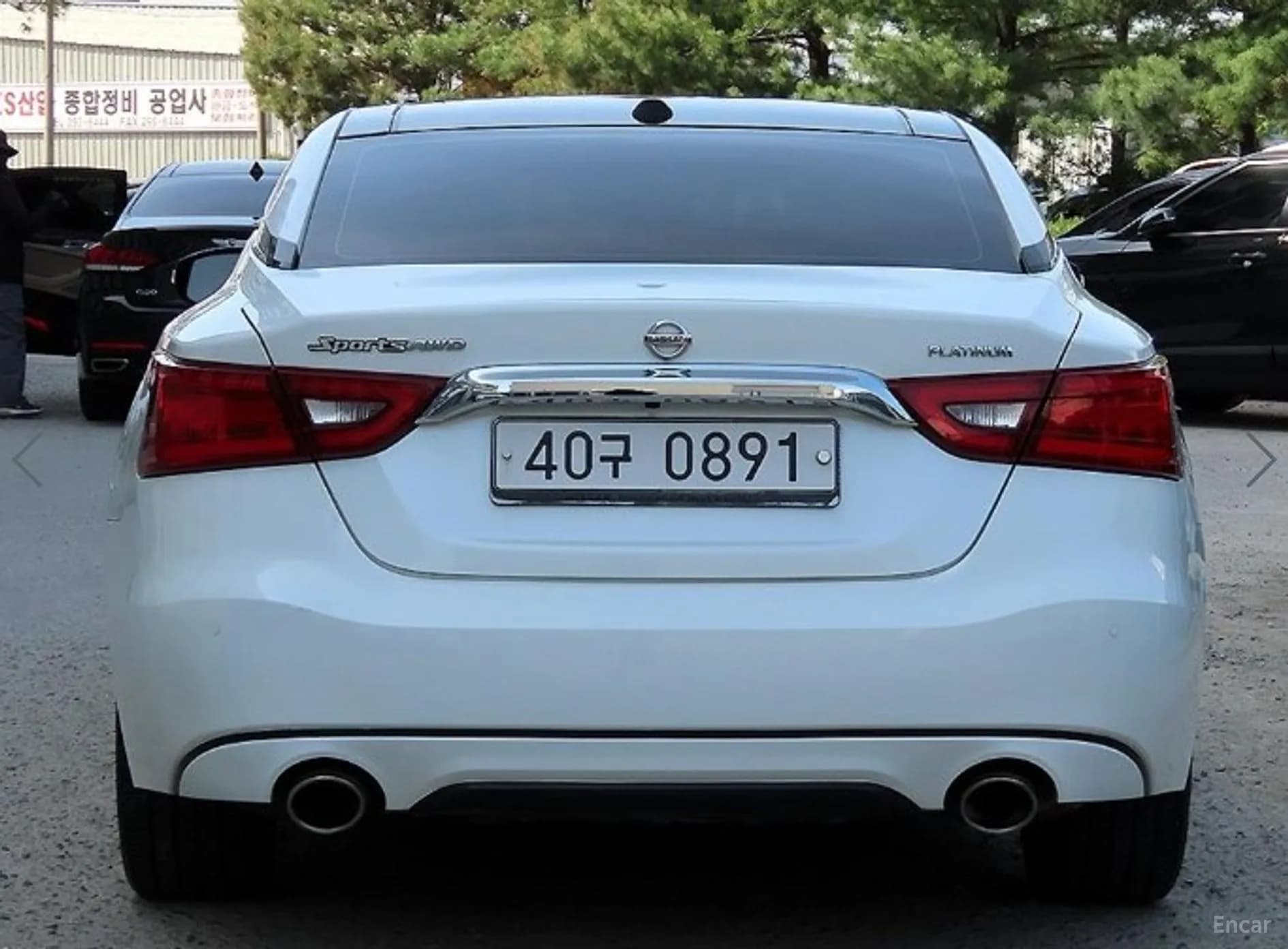 Maxima (A36)