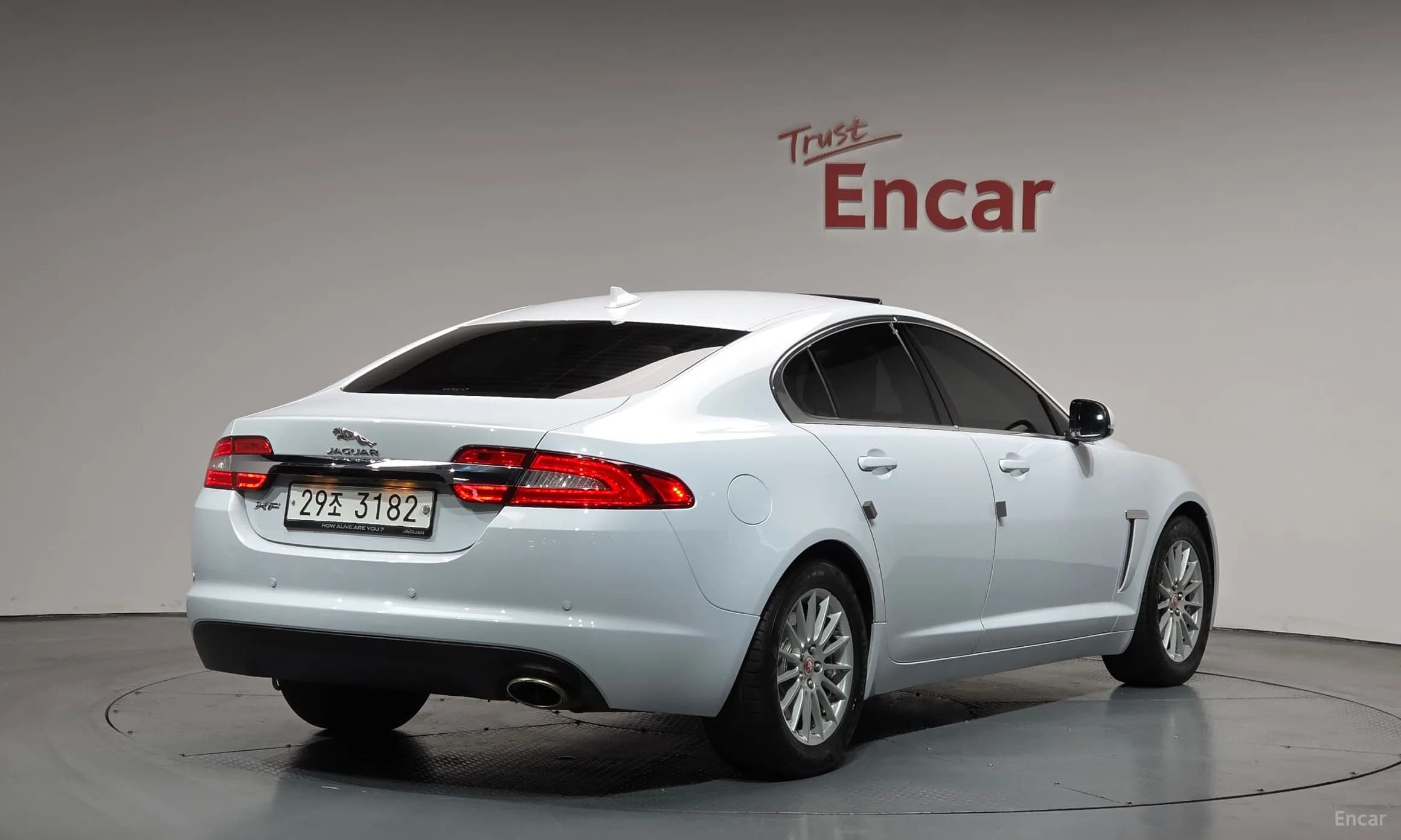 New XF