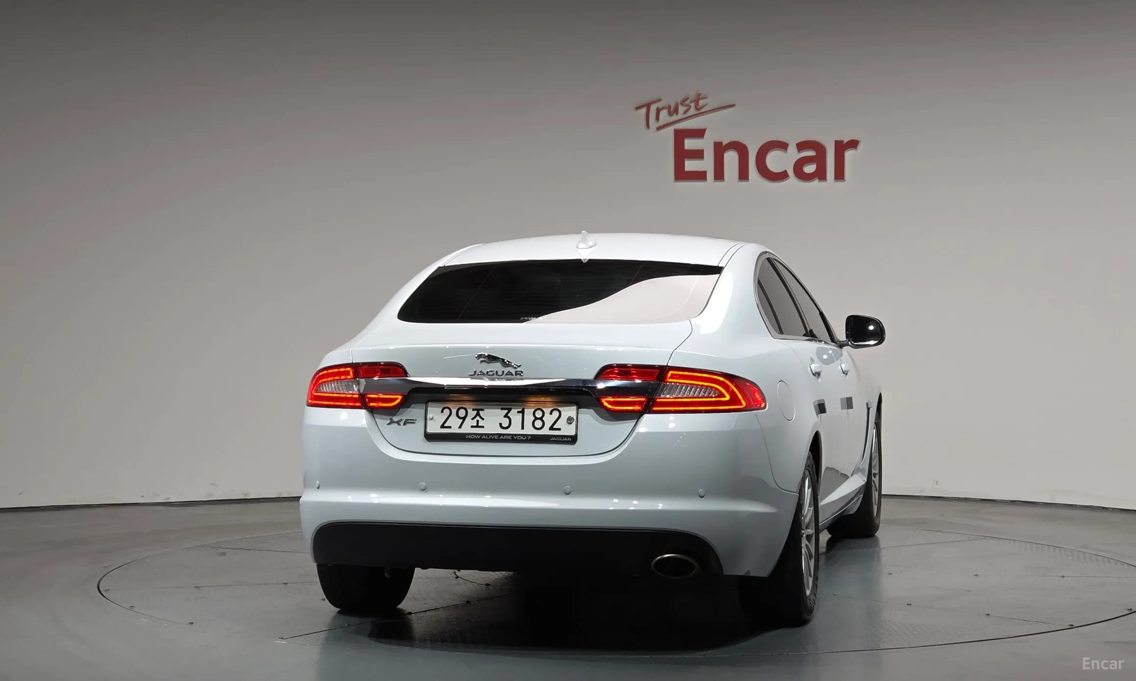 New XF