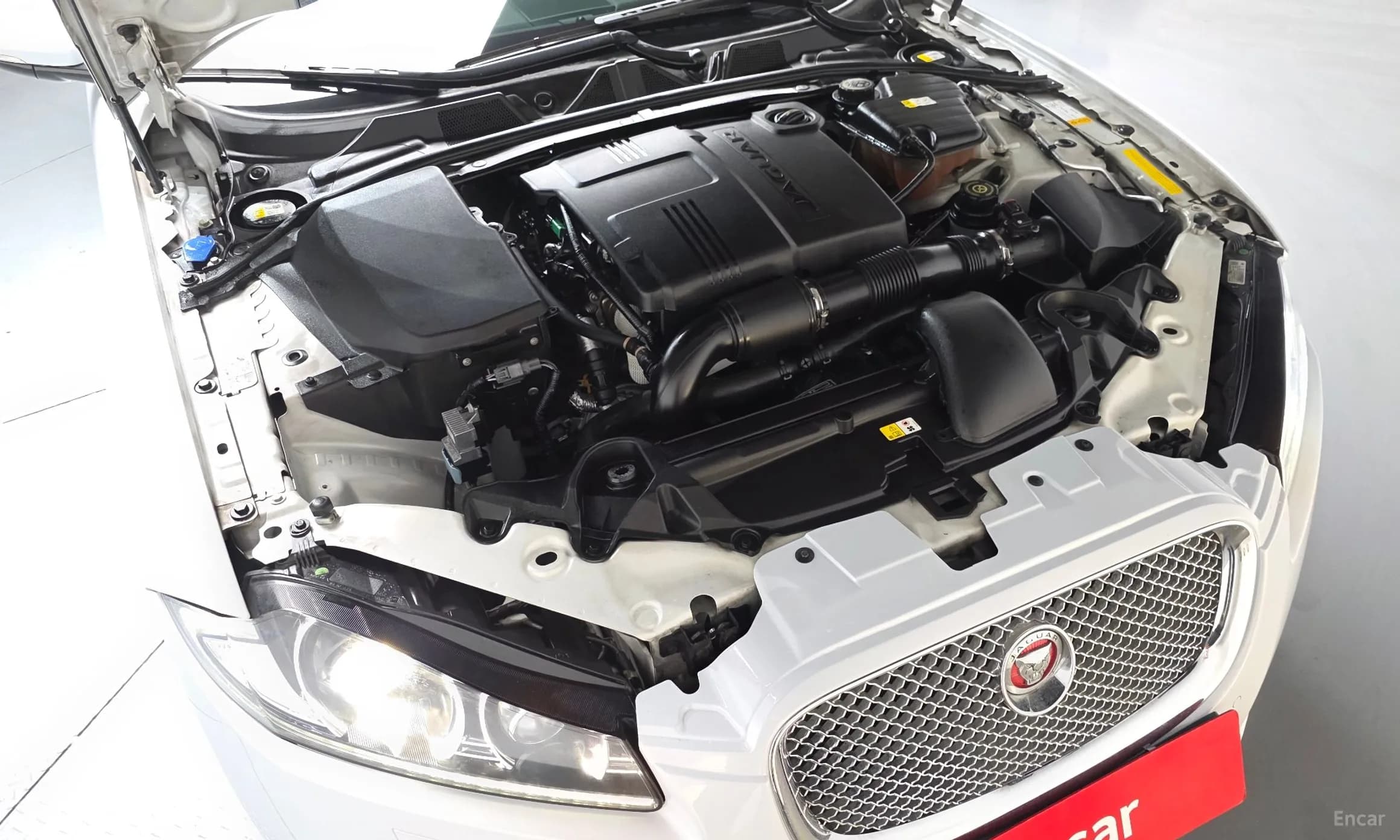 New XF