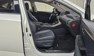 NX300h