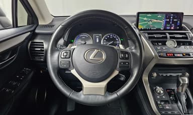 NX300h