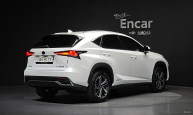 NX300h