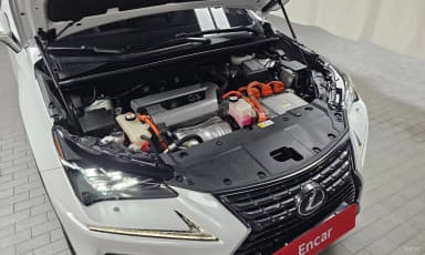 NX300h