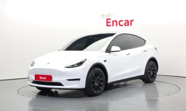 Model Y