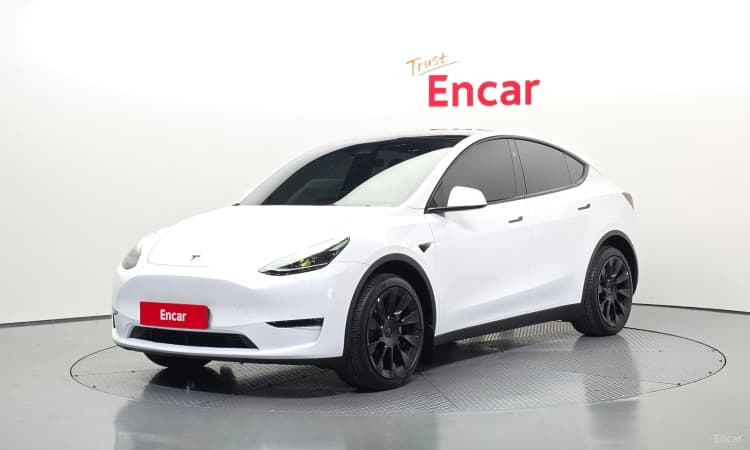 Model Y