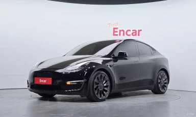 Model Y