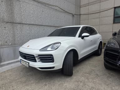 Cayenne (PO536)